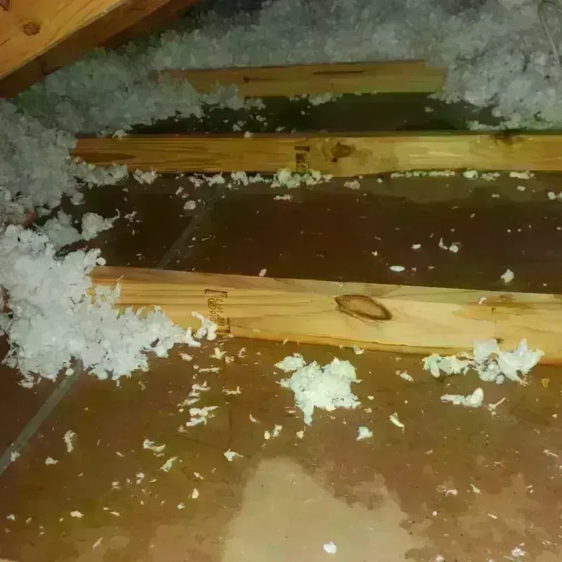 Attic Water Damage in Silver Firs, WA